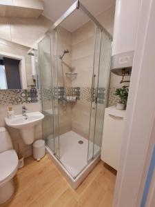 a bathroom with a shower and a toilet and a sink at Limanowa Sunriser Apartment in Limanowa