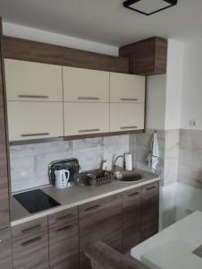 Una cocina con gabinetes de madera y un fregadero. en Green Forest Lux Apartman, en Zlatibor