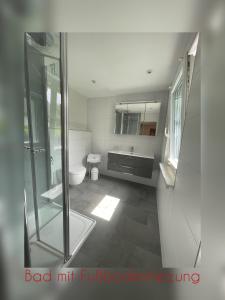 a bathroom with a glass shower and a toilet at Ferienhaus Martina in Bad Brambach