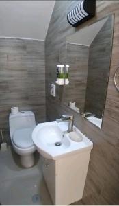 bagno con lavandino, servizi igienici e specchio di Casa de Campo Sarita en huanchuy condominio a Archu