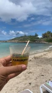 a person holding a glass of beer on the beach at Grand appartement duplex in Baie-Mahault