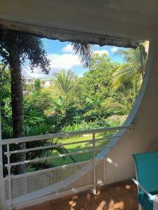 a balcony with a view of a palm tree at Grand appartement duplex in Baie-Mahault