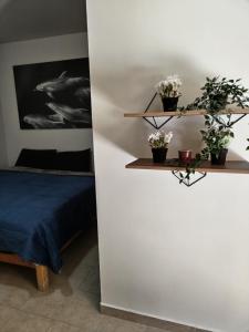 Habitación con 1 cama y 2 estanterías con plantas en Hospedaje La Gloria, en Texcoco de Mora