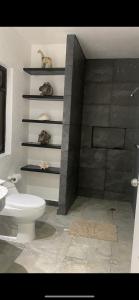 a bathroom with a white toilet and a shower at Caleta in Acapulco