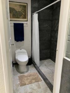 a bathroom with a toilet and a shower at Caleta in Acapulco