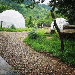 a gravel road with a white tent in a field at The Grand Prestige Igloo in Gura Teghii