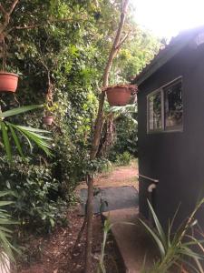 Una casa negra con macetas al costado. en Lissadell Country House en Monteverde