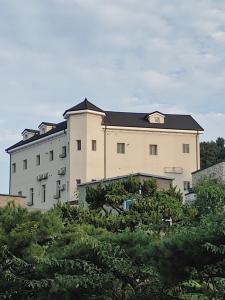 ein großes weißes Gebäude mit schwarzem Dach in der Unterkunft The Castle Stay in Chuncheon