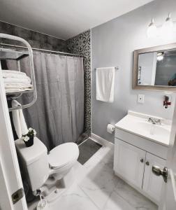 uma casa de banho com um WC, um lavatório e um chuveiro em Cozy Cottage em Tampa