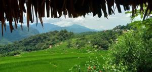 a view of a green field with mountains in the background at Green Hills Homestay in Ha Lãm