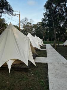 a row of tents sitting in the grass at Touching Camping in Hou-lung-tzu
