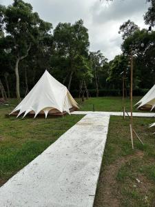 a couple of tents sitting in the grass at Touching Camping in Hou-lung-tzu