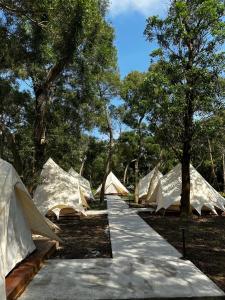 a row of tents in a field with trees at Touching Camping in Hou-lung-tzu