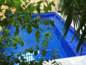 Bazén v ubytování Hotel Las Salinas nebo v jeho okolí
