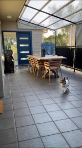 a cat walking on a patio with a table and chairs at Banyan, 14 Montevideo Parade - spacious pet friendly property with air con and free WiFi in Nelson Bay