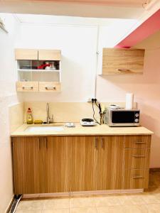 a kitchen with a sink and a microwave on a counter at КВАРТИРА ВОЗЛЕ БАХАЙСКИХ САДОВ! in Haifa