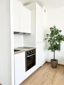 a kitchen with white cabinets and a potted tree at Isabellas: Near to trainstation in Linz