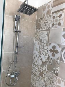a shower with a shower head in a bathroom at Leventis Studios 2 in Faliraki