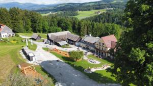 uma vista aérea de uma casa nas montanhas em Gasthof Wiesenhofer em Miesenbach