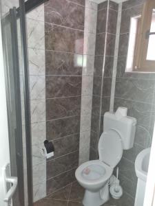 ein Badezimmer mit Toilette und Dusche in der Unterkunft Vikendica za odmor in Busovača