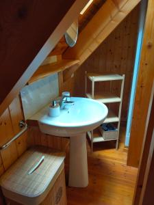 een badkamer met een wastafel op de zolder bij Gite Le Chalet SaintAnthème / Prabouré in Saint-Anthème