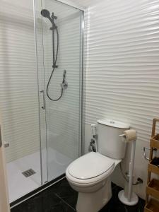Un baño con inodoro y ducha de cristal. en Ortigia Loft Via Malta, 22, en Siracusa