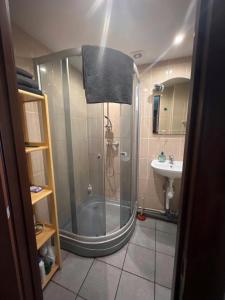 a bathroom with a shower and a sink at Atmodas 70 in Jelgava