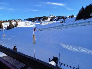 Le Flocon de Pauline - Sur les pistes v zimě