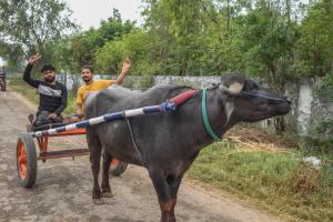 Gallery image of MST Cricket Village By Four Leaf Hotels in Ghaziabad