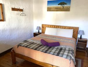 Dormitorio pequeño con cama con manta en Sani Lodge and Backpackers Sani Pass South Africa, en Sani Pass