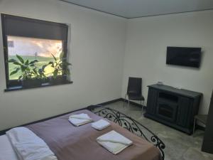 Schlafzimmer mit einem Bett, einem Fenster und einem TV in der Unterkunft Loft wood in Mukatschewo