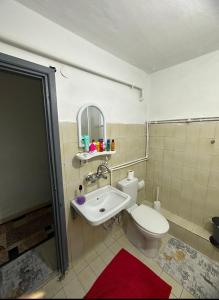 a bathroom with a toilet and a sink and a shower at single room, in Üsküdar in Istanbul