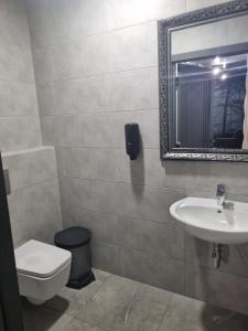 La salle de bains est pourvue d'un lavabo, de toilettes et d'un miroir. dans l'établissement Loft wood, à Moukatcheve