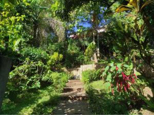 Moemoea Lodge في أمباتولواكا: حديقة بها مسار يؤدي إلى المنزل