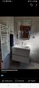 a bathroom with a white sink and a mirror at Seosko domacinstvo Prole in Šipovo