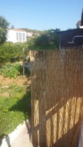 A garden outside Xristina's Experience