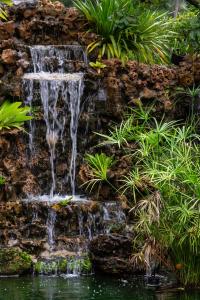 a waterfall in a garden with plants at CAMP CAYLA - EDEN in Chiang Mai