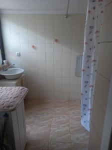 baño con lavabo y cortina de ducha con delfines. en Soul, en Bela Crkva
