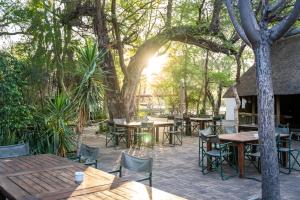 un patio esterno con tavoli, sedie e alberi di Nata Lodge a Nata