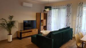 een woonkamer met een groene bank en een televisie bij Domek dwupoziomowy pod Brzozami 4P in Chrzanów