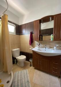y baño con lavamanos, aseo y lavamanos. en Manos’ Traditional Maisonette, en Aigósthena