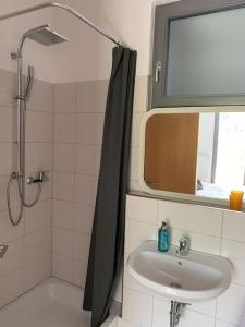 ein Bad mit einem Waschbecken und einer Dusche mit einem Spiegel in der Unterkunft Apartment Talblick in Kandern