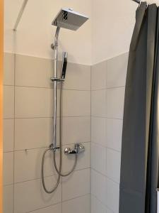a shower with a shower head in a bathroom at Apartment Talblick in Kandern