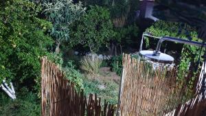 A garden outside Xristina's Experience