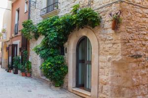 un edificio de piedra con una ventana y plantas en él en Palo del Colle Ierva Chiain, Guest House, en Palo del Colle