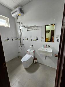 A bathroom at Ddan's house