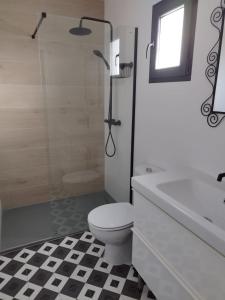 a bathroom with a toilet and a shower and a sink at Apto. El Pozo de las Nieves con piscina in Cobisa