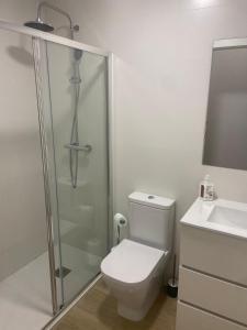 a bathroom with a shower and a toilet and a sink at Casa Xava Valencia in Valencia