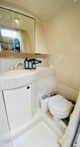 La petite salle de bains est pourvue de toilettes et d'un miroir. dans l'établissement Loveboat, à Thonon-les-Bains