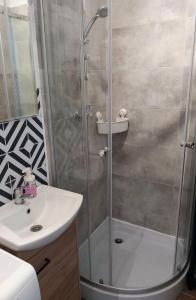 W łazience znajduje się prysznic i umywalka. w obiekcie HOLA Apartamenty Narutowicza w Łodzi